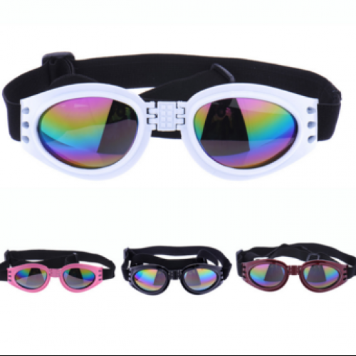 Dog Eye Wear Pet Dog Sunglasses Pet Supplies