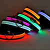 Beautiful Pet Dog Collars and Leads Light Luminous