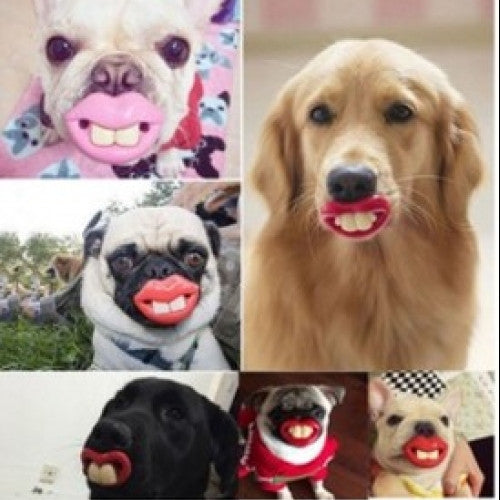 Dogs Funny LOL Teeth Dummy Pets Pacifier